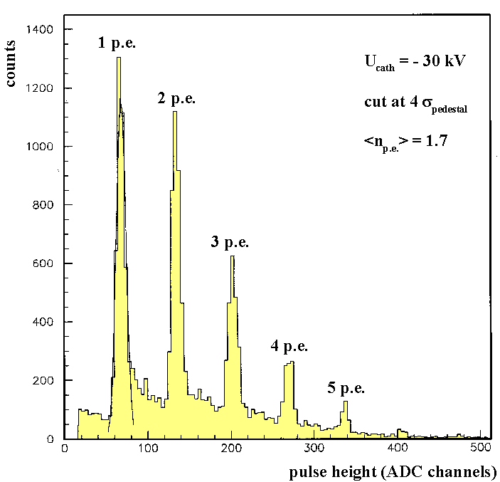 wpe1.gif (12235 bytes)