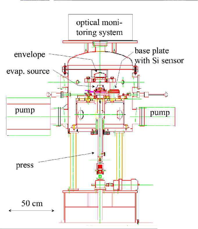 plant.jpg (64595 bytes)